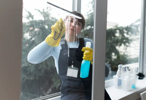 Nettoyage de vitres intérieures et extérieures à Thaumiers